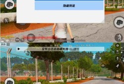 绝地求生：全军出击2025最新单机一键端/安装即玩/走路模拟器