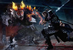 仁王：完整版/Nioh: Complete Edition