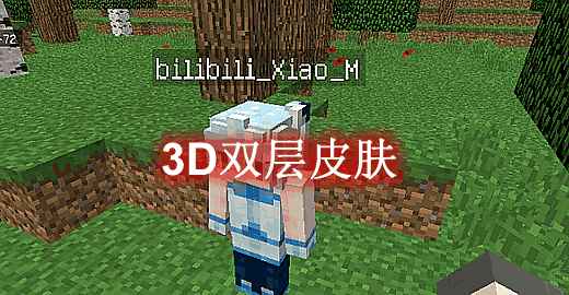 [1.8.9-1.19.1]3D皮肤层 Skin Layers 3D Mod  第1张