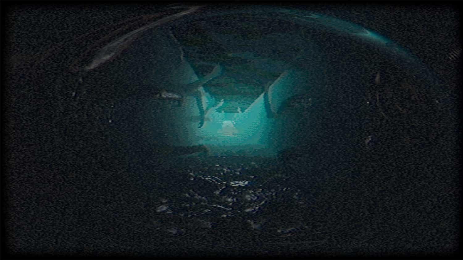 塑形变异/Plastomorphosis  第2张