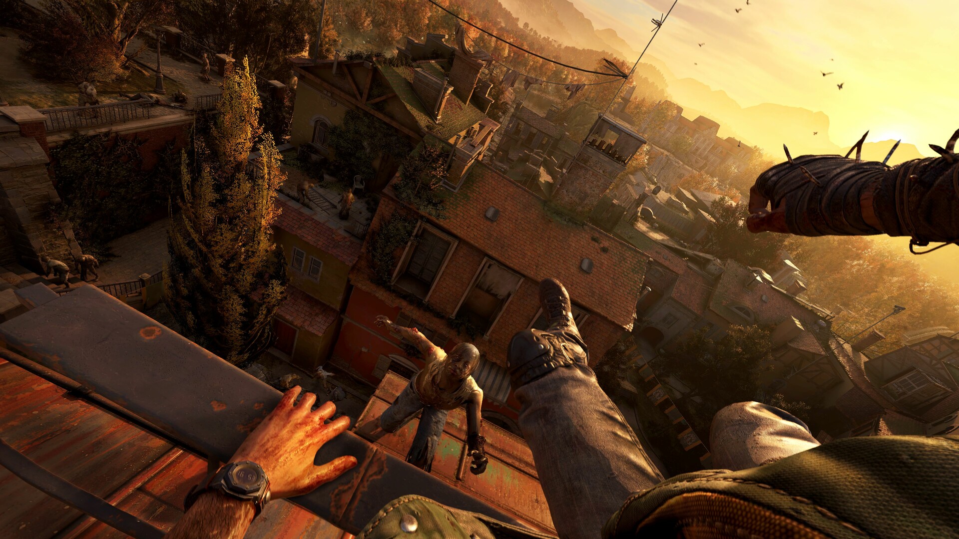 消逝的光芒：困兽/Dying Light: The Beast  第2张