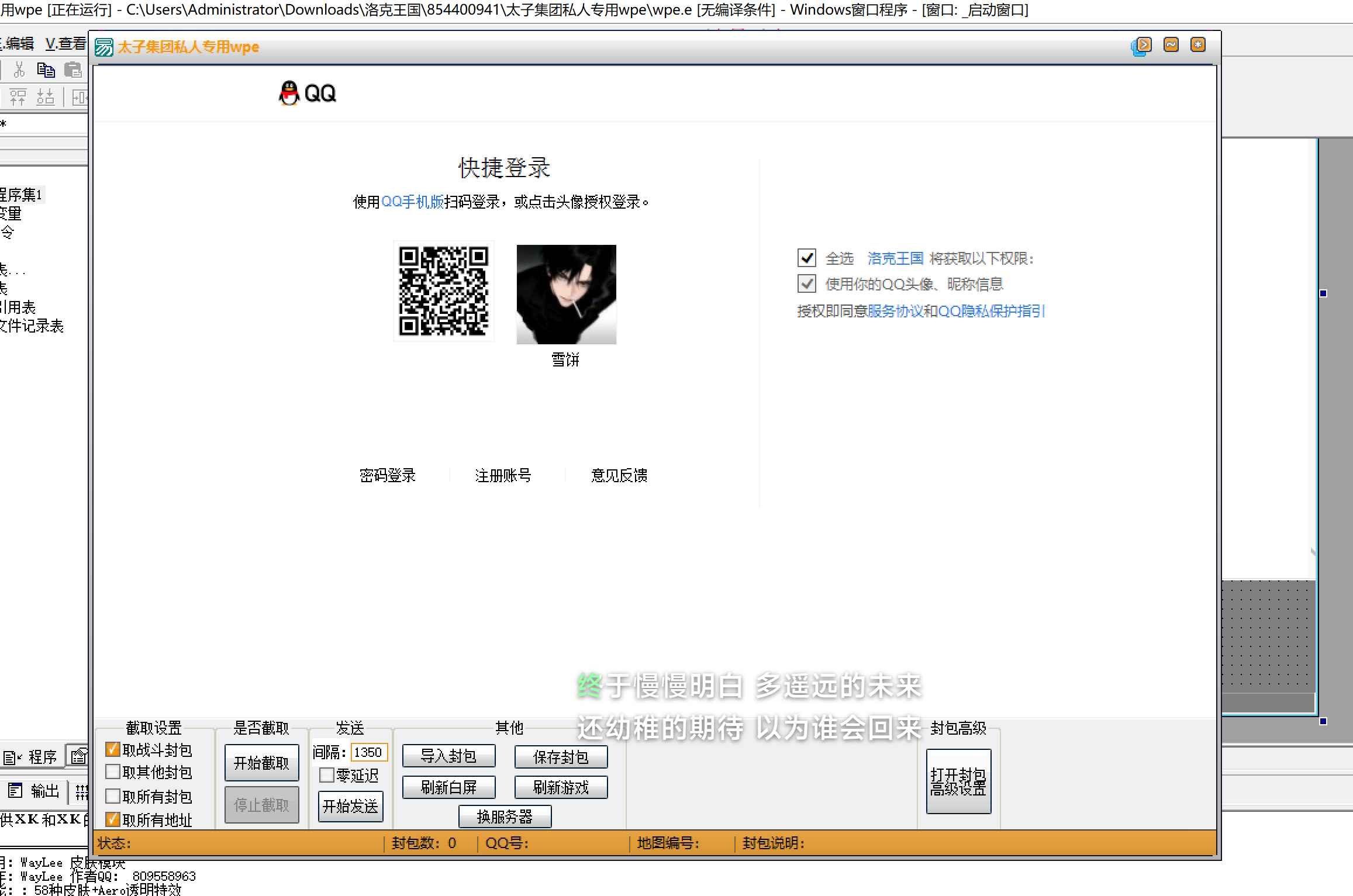 易语言洛克王国太子WPE源码  第1张
